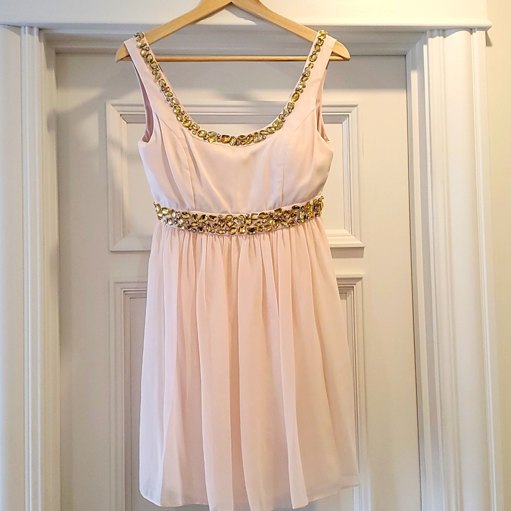 Minute Blush Chiffon Short Dress Sz. Small